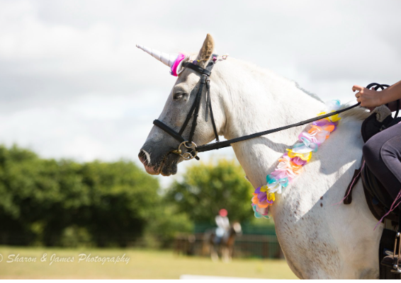 Voucher Template 11702